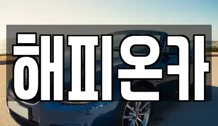 서울 중구 을지로5가 중고차매매 전문 해피온카