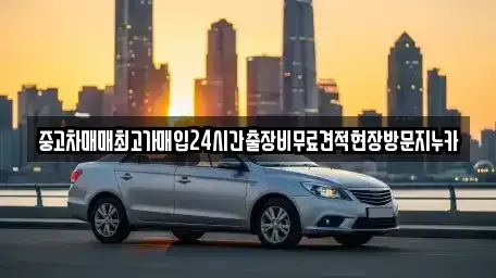 서울 중구 을지로5가 중고차매입 전문 중고차매매최고가매입24시간출장비무료견적현장방문지누카