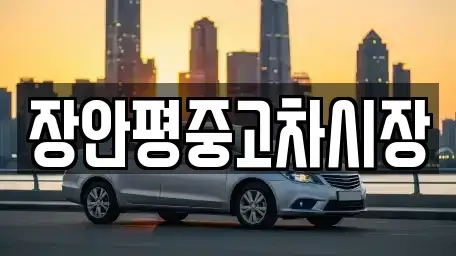 서울특별시 종로구 신영동 중고차 전문 장안평중고차시장