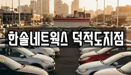 인천 옹진군 자월면 렌트카 전문 한솔네트웍스 덕적도지점