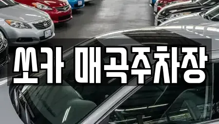 전라남도 순천시 행동 렌트카 전문 쏘카 매곡주차장